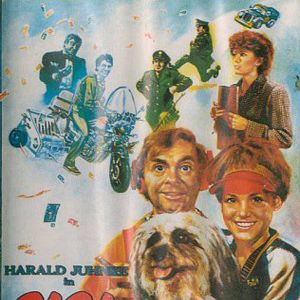 Fotoğraf Sigi, der Straßenfeger