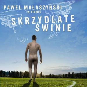 Fotoğraf Skrzydlate swinie