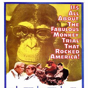 Fotoğraf Rüzgarın Mirası