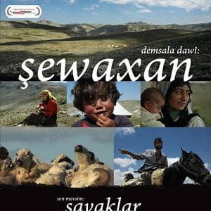 Fotoğraf Son Mevsim: Şavaklar