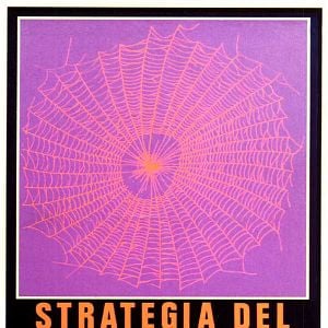 Fotoğraf Örümceğin Stratejisi