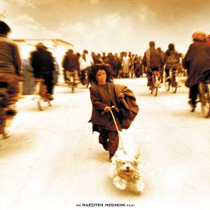 Fotoğraf Şaşkın Köpekler