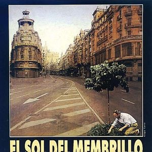 Fotoğraf Ayva Ağacı Güneşi