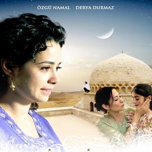 Fotoğraf İncir Çekirdeği