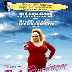 Fotoğraf Pembe Flamingolar