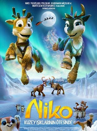  Niko 3: Kuzey Işıklarının Ötesinde posteri