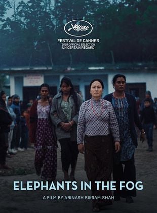 Elephants in the Fog posteri
