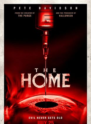  The Home posteri