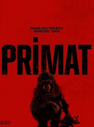 Primat
