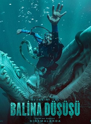  Balina Düşüşü