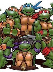 The Teenage mutant ninja turtles 2003