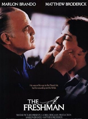 The Freshman posteri