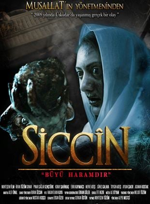  Siccin