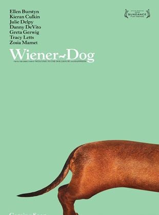  Wiener-Dog