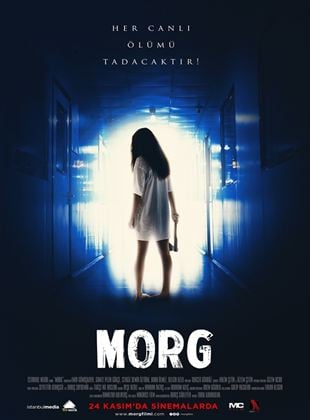  Morg