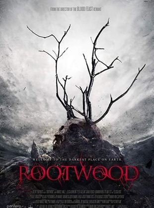  Rootwood