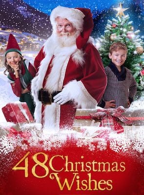  48 Noel Dileği posteri