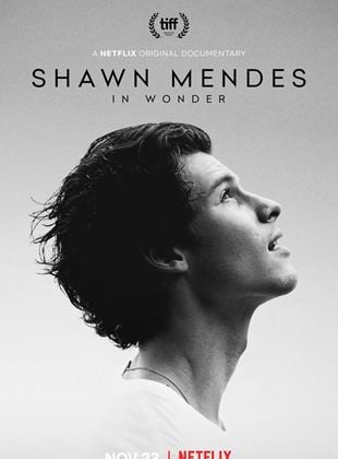  Shawn Mendes: In Wonder