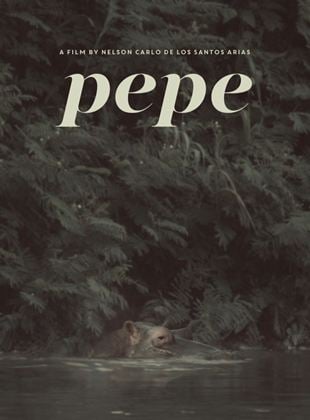  Pepe