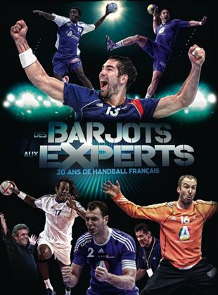 Des barjots aux experts, 20 ans de handball français
