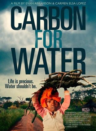 Carbon for Water