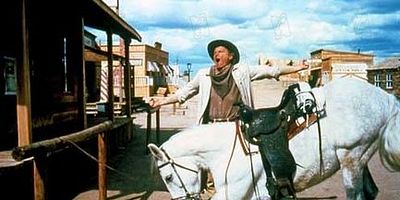 Una notte di mezza estate a Daisy Town posteri