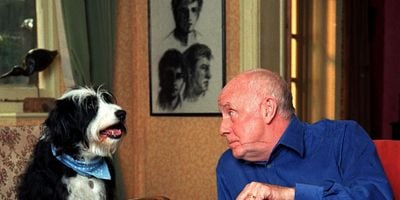 The Election posteri