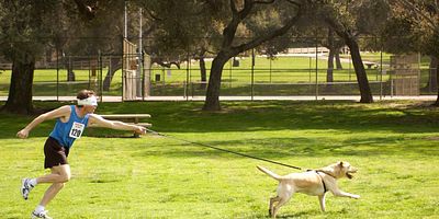 Victor's Other Family posteri