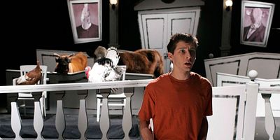 Cattle Court posteri