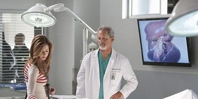 Gross Anatomy posteri