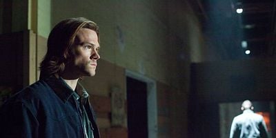 Torn and Frayed posteri