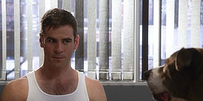 Misconceptions posteri