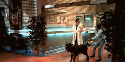 Une vie de chien posteri