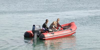 Metamorphosis posteri