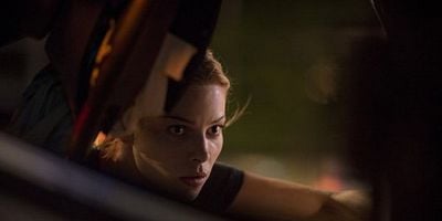 Professional Courtesy posteri