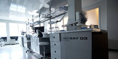 Rules of the Game posteri