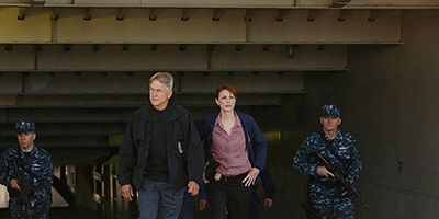 The San Dominick posteri