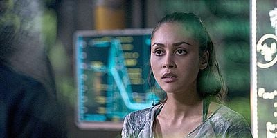 Bodyguard of Lies posteri