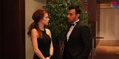 Kiralık Aşk 15.Bölüm posteri