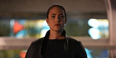 Moo Shu to Go posteri