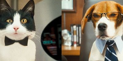 Hayat Şarkısı 6.Bölüm posteri