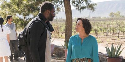 Sicut Cervus posteri