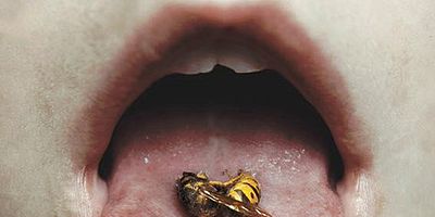 The Dharma Burns posteri