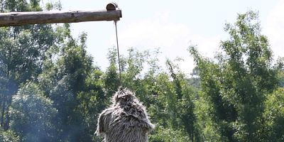 Diriliş Ertuğrul 60.Bölüm posteri