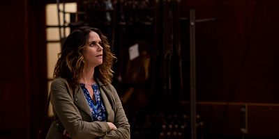 Just the Facts posteri