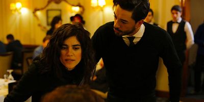 Seviyor Sevmiyor 27.Bölüm posteri