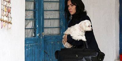 Bodrum Masalı 22.Bölüm posteri