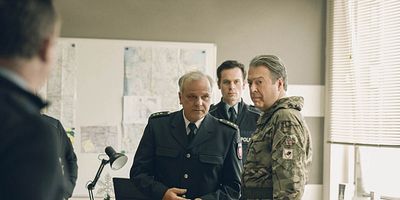 The Turtle and the Stick posteri