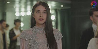 Fazilet Hanım ve Kızları 13.Bölüm posteri