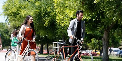 Çoban Yıldızı 17.Bölüm posteri